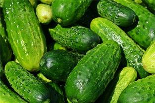 梦到吃沙瓜,探寻沙瓜之谜的奇幻之旅