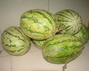 西瓜部落吃瓜群,揭秘网络社交圈的趣味与热议