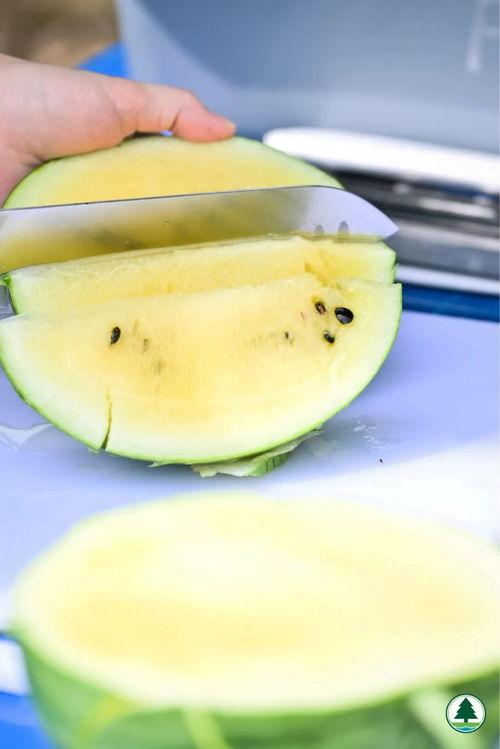 盒装吃瓜本,揭秘夏日消暑新潮流