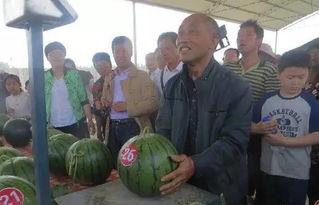 吃瓜群众最终吃到我的瓜,最终瓜果盛宴