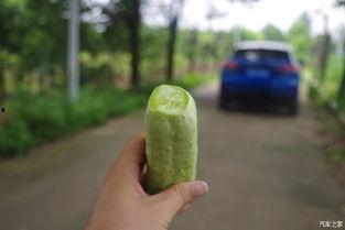 吃瓜不忘推瓜人,揭秘娱乐圈的“瓜田效应”